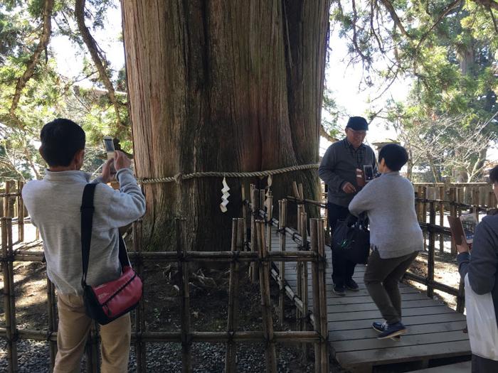 戸隠神社中社