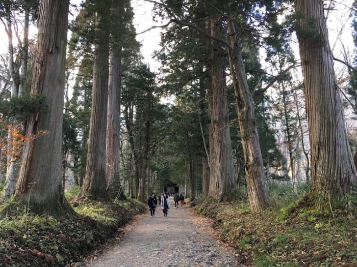 戸隠神社 奥社の杉並木