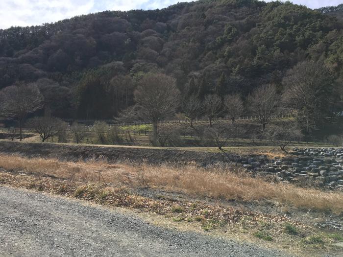 長野県辰野町にあるほたる童謡公園