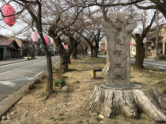 長野県飯田市にある大宮通り桜並木