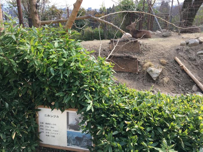 長野県飯田市にある飯田動物園