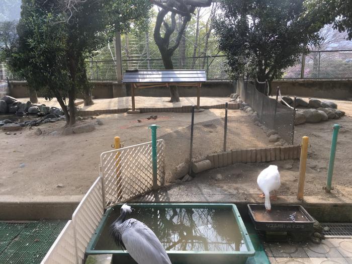 長野県飯田市にある飯田動物園