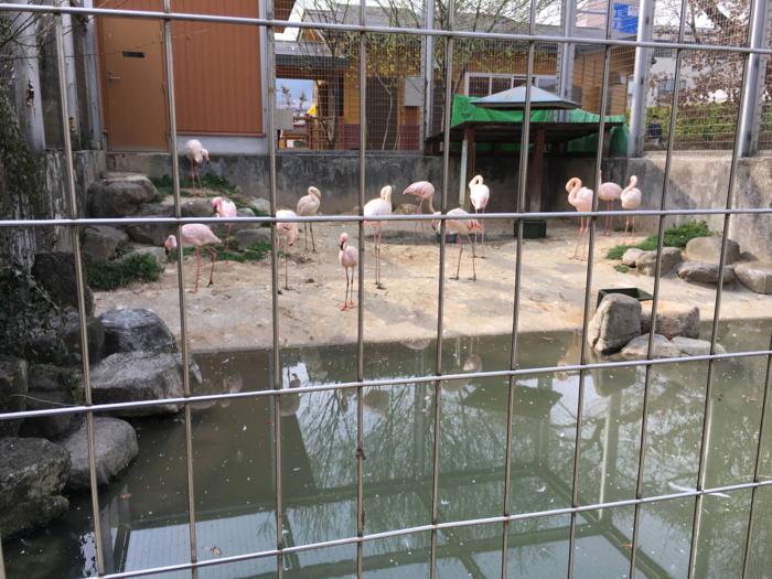 長野県飯田市にある飯田動物園