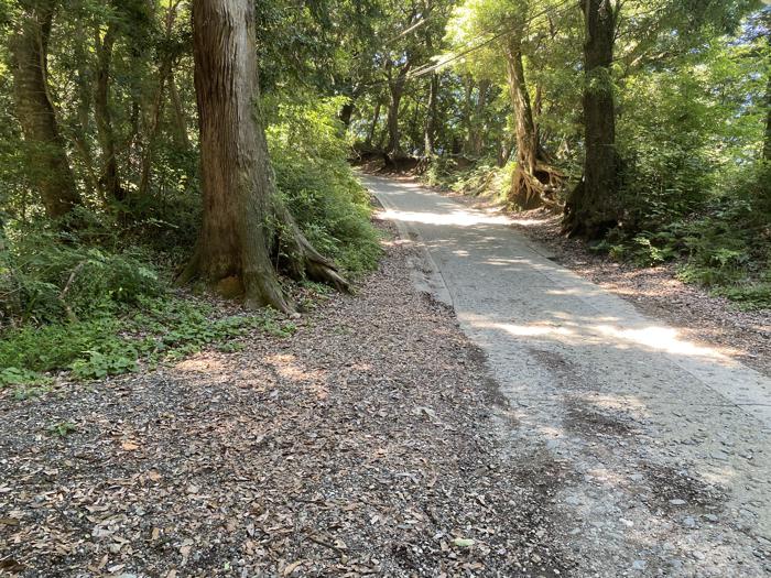 高尾山