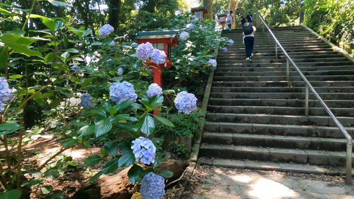 高尾山