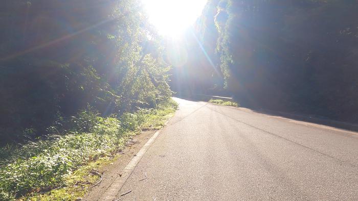 千葉県長生郡長南町