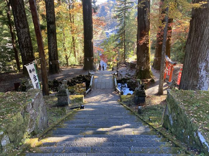 山梨県甲府市にある金櫻神社