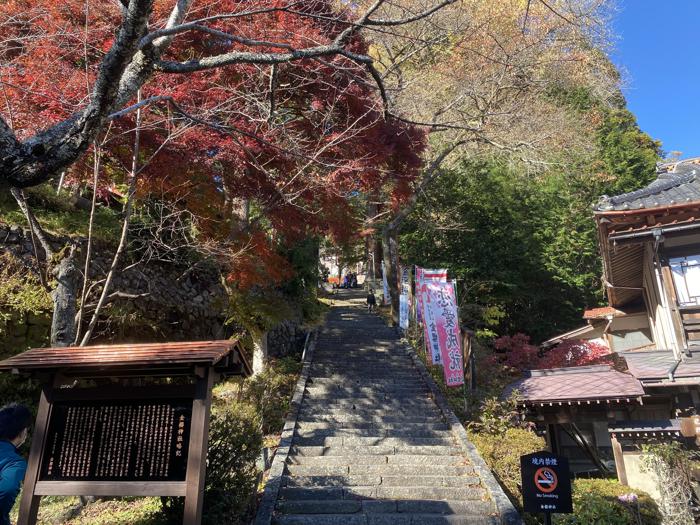 山梨県甲府市にある金櫻神社