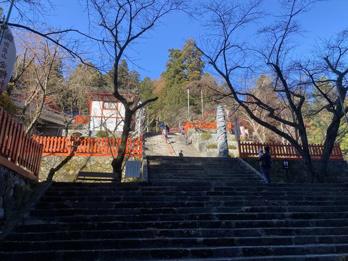 山梨県甲府市にある金櫻神社