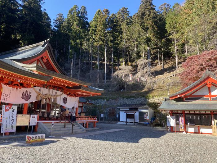 山梨県甲府市にある金櫻神社