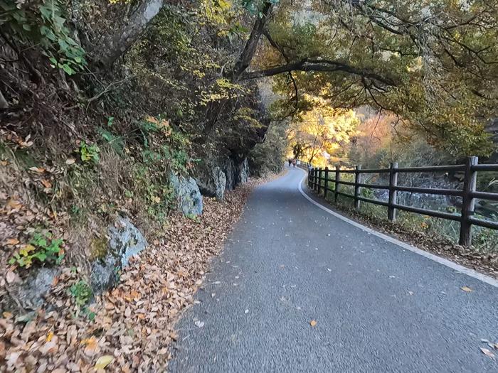 山梨県甲府市