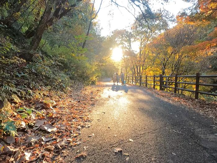 山梨県甲府市