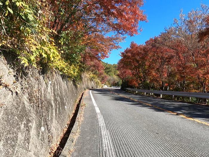 山梨県甲府市