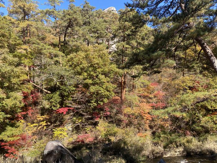 山梨県甲府市にある昇仙峡の猿岩