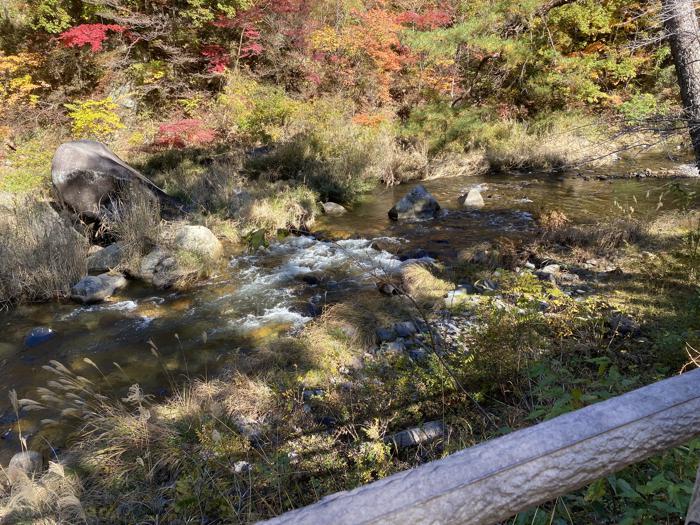 山梨県甲府市にある昇仙峡