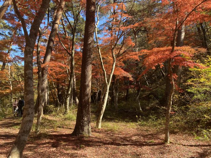 山梨県甲府市にある天鼓林