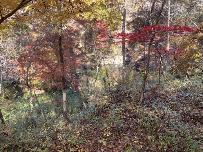 山梨県甲府市にある天鼓林