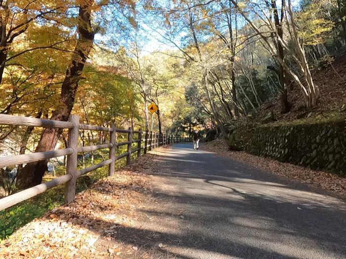 山梨県甲府市にある昇仙峡