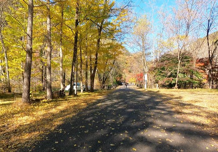 山梨県甲府市にある昇仙峡