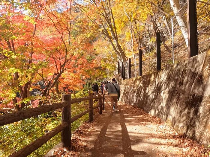 山梨県甲府市にある昇仙峡